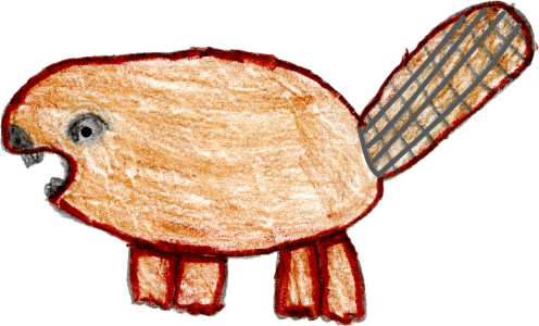 Angry Beaver At Home